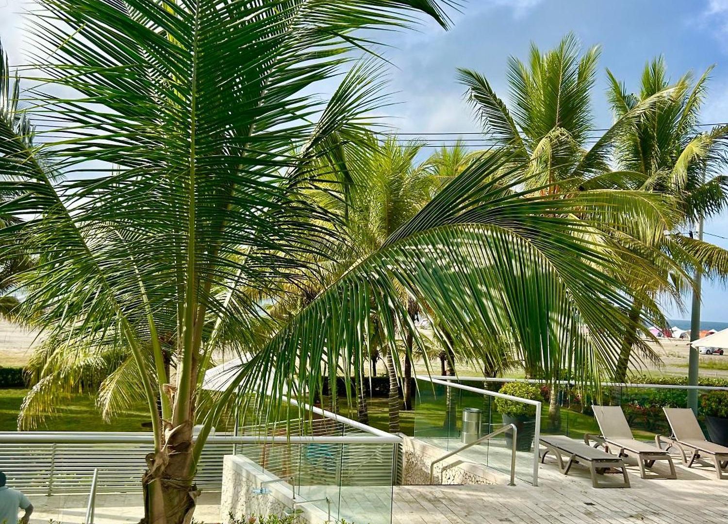Apartamento Cartagena * Cartagena